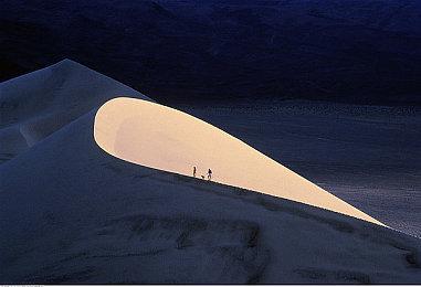 《The Brew Barons》登陆Steam 飞机酒场经营RPG